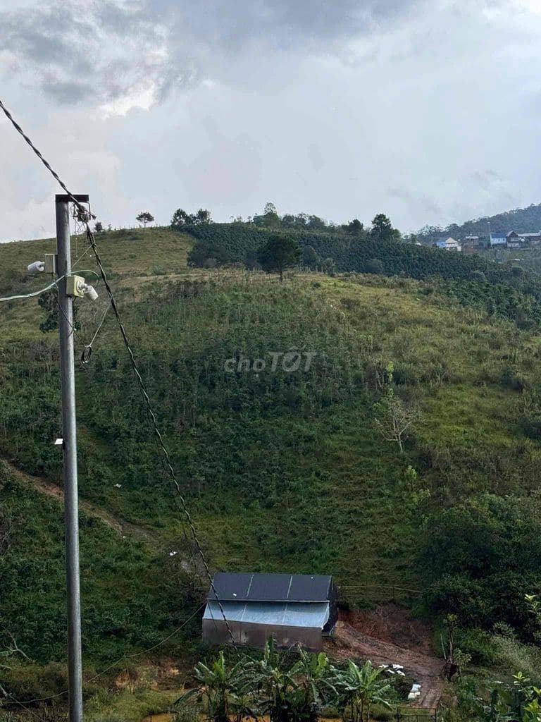 BÁN VƯỜN ĐA SAR 16HA CÓ 4200m2 nhà lồng - Ảnh 3