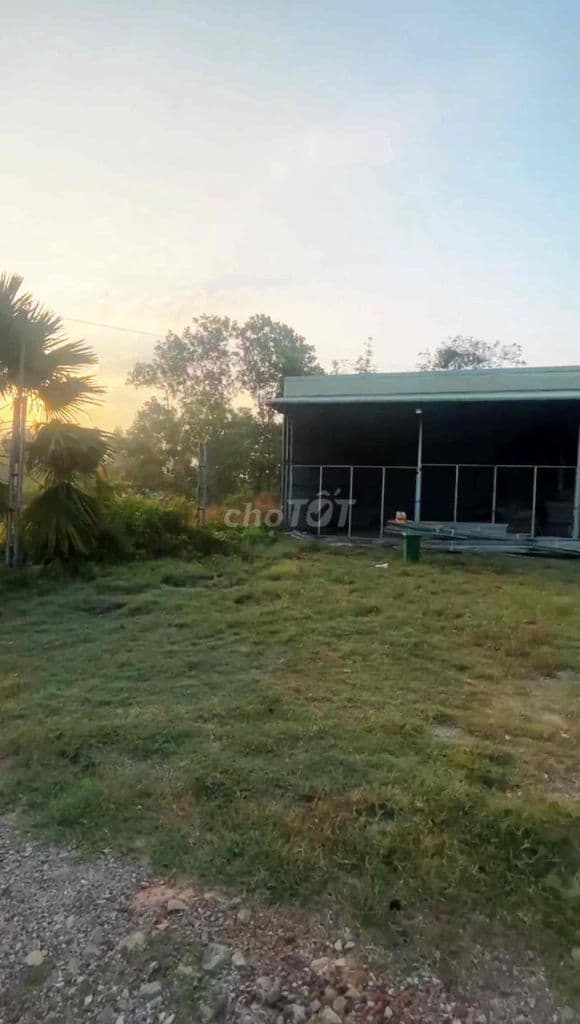 bán gần 5000m2 Quận 9 Thích hợp làm Kho bãi, Gần Cản Q9, Q2 - Ảnh 3