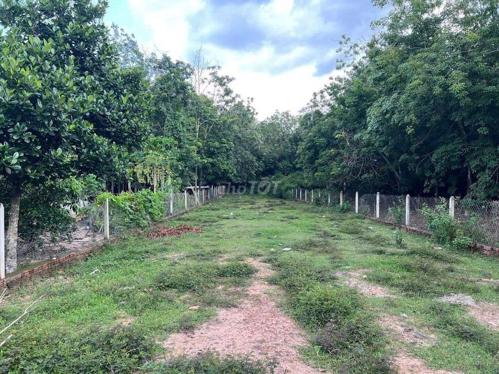 Cần Bán Lô Đất Mặt Tiền Đường Võ Thị Bàng - Ảnh 3