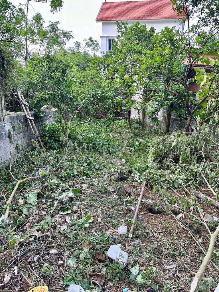 Bán 131m2 đất Đồi 1, Đông Phương Yên, Chương Mỹ - Cách QL6 chỉ 100m - Ảnh 3