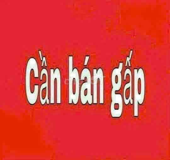 Nhà MT sung gần Tân Sơn Nhì - Ảnh 3