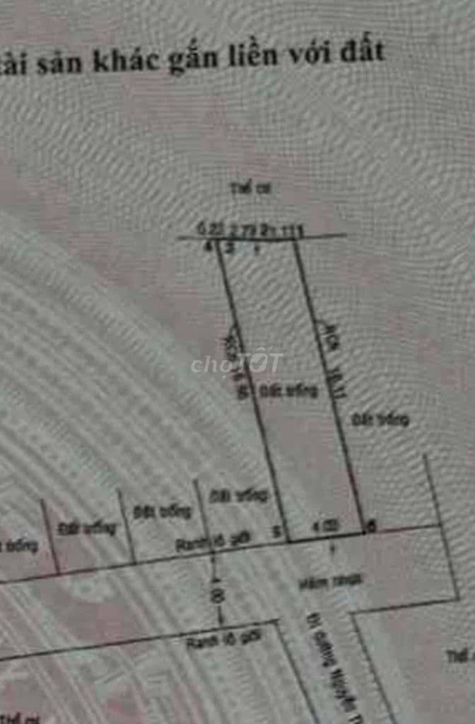 🏡 ĐẤT ĐẸP HIẾM – HẺM XE HƠI NGUYỄN THỊ ĐỊNH – GẦN 7 TỶ 📍 Khu phân lô - Ảnh 2