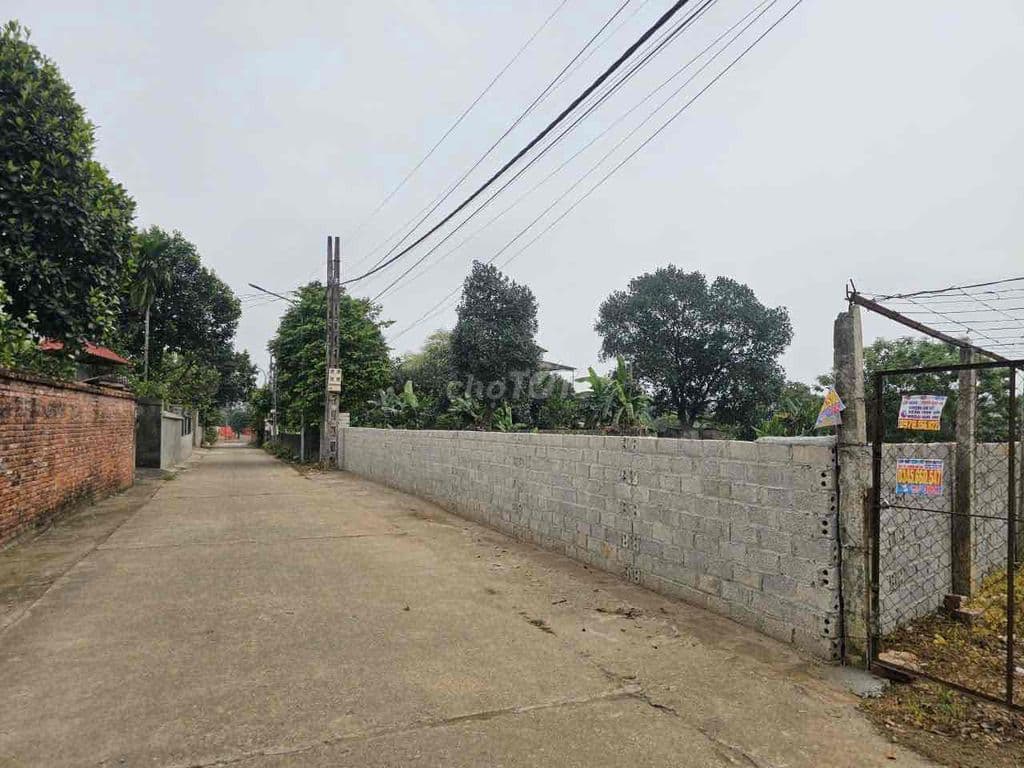 Cần Bán Gấp Đất Ngay Trung Tâm Hoà Lạc Giá 3 Tỷ 100m Full Thổ - Ảnh 2