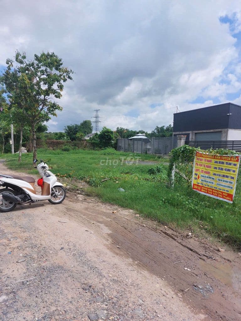 BÁN ĐẤT TÂN AN HỘI 279M², GẦN HƯƠNG LỘ 2, GIÁ CHỈ 1,29 TỶ - Ảnh 2