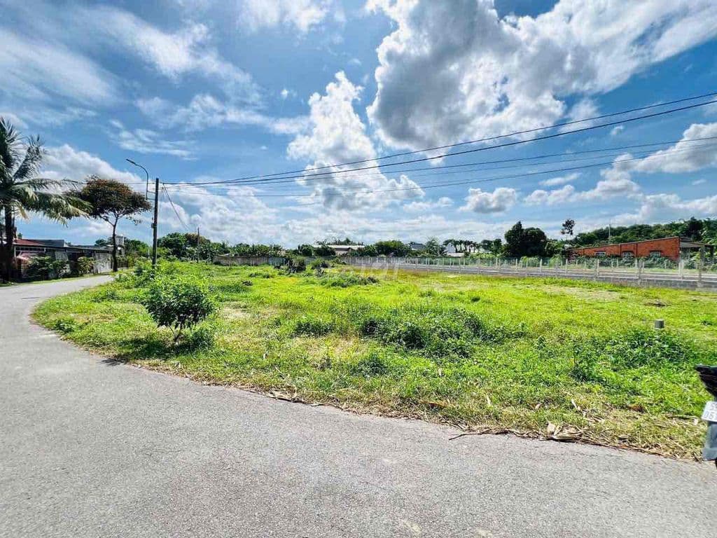 Đất mặt tiền đường Nhựa Nguyễn thị thi Thái Mỹ Củ Chi 95m thổ cư đất o - Ảnh 3