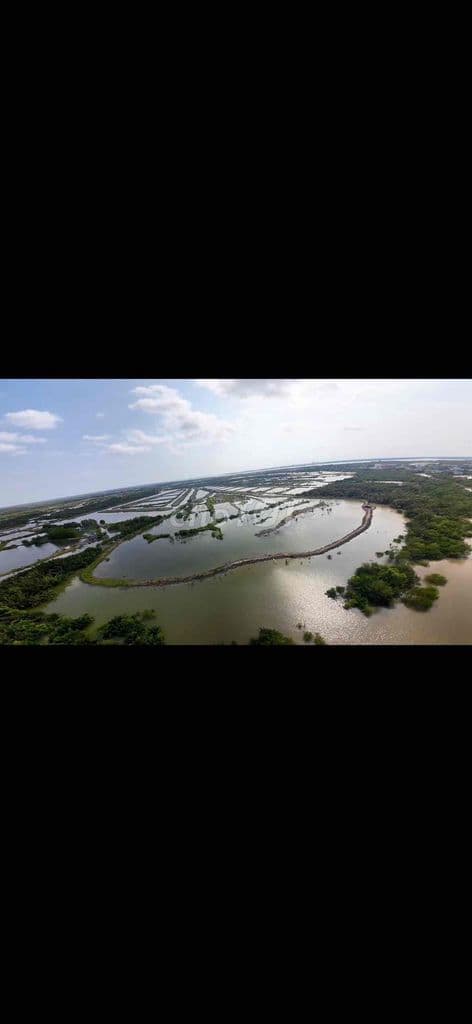 Đất Nông Nghiệp/ 5ha, đường Lý Nhơn - Ảnh 2