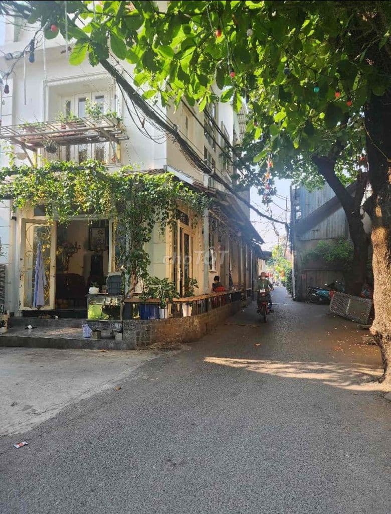 BÁN ĐẤT - 138M2 11.5✘12 - THỐNG NHẤT GÒ VẤP . - Ảnh 3