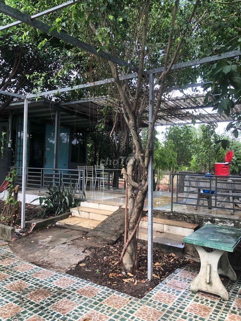 Cần bán gấp nhà vườn Rạch Bình Thuận!!!! - Ảnh 3