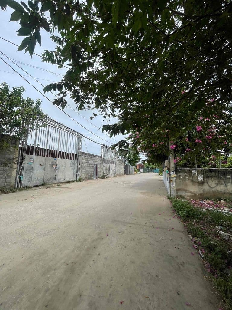 CHỈ 4 TỶ 2 | DT: 84M2 | HẺM XE TẢI 6M THÔNG | ( 4X20M, 2 TẦNG )
