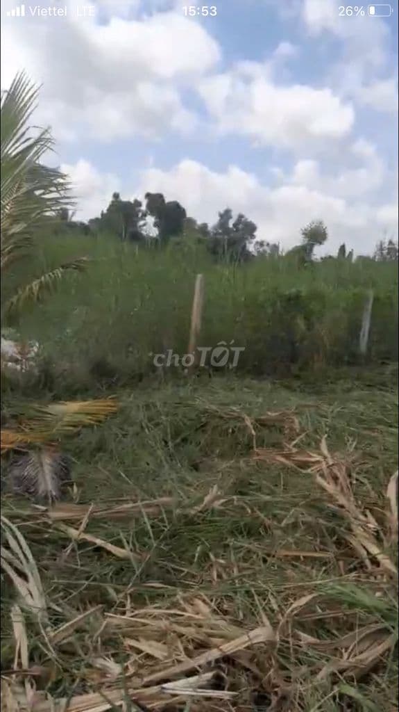 Cần vốn nên bán đất - Ảnh 2