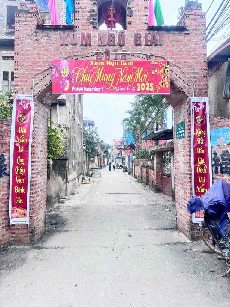 Ngộp thở, chính chủ cần bán gấp lô đất hoa hậu xã Ngọc Tảo, có 1 ko 2 - Ảnh 2