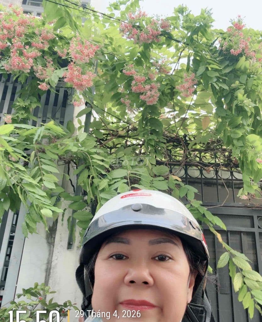 MUA NHÀ TẶNG GIÀN HOA TRƯỚC CỔNG - Ảnh 3