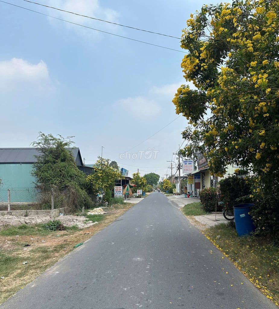 TÌM ĐÂU RA 500m2 ĐẤT VƯỜN có 50THỔ CƯ Ô TÔ -GIÁ ĐẸP CHỈ NHỈNH 1 TỶ 5 - Ảnh 3