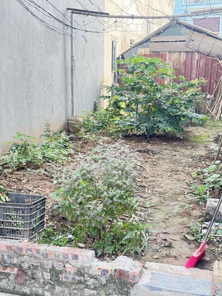 🔥 BÁN GẤP 51M² TRỤC CHÍNH KINH DOANH PHÚC THỌ – MAI LÂM – ĐÔNG ANH