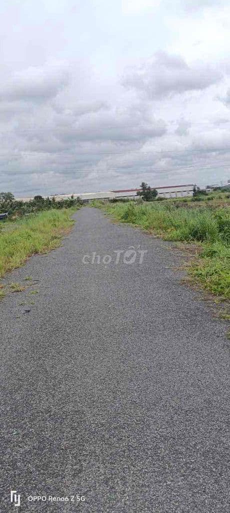 BÁN đất ngay MT VÕ VĂN KIỆT 2500m2 Tân Kiên - Ảnh 2