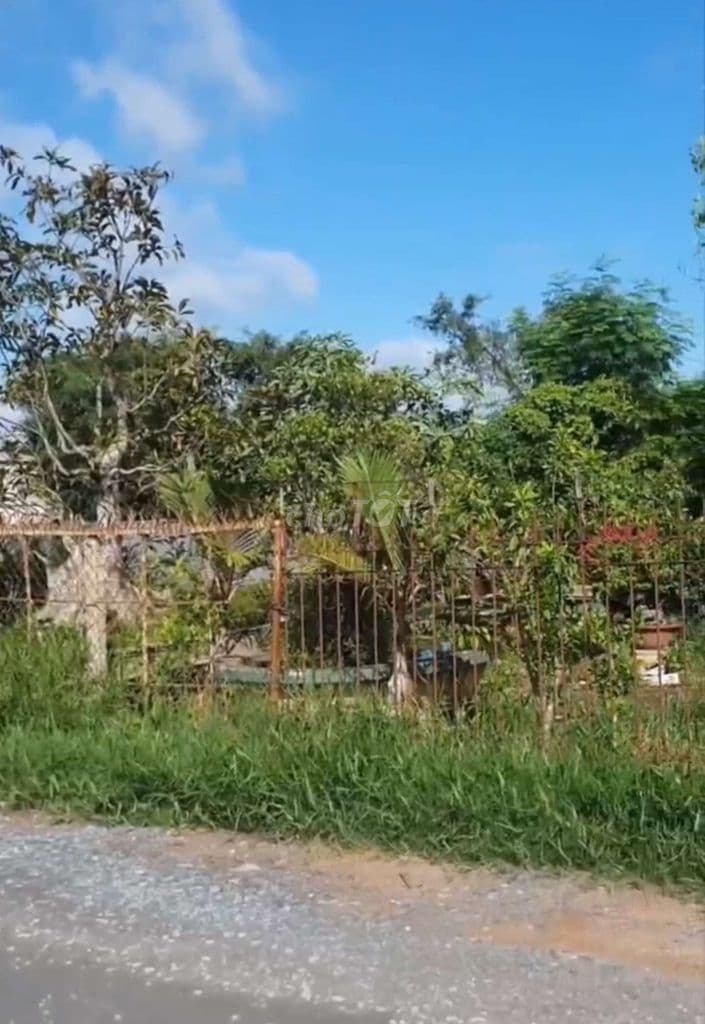 chủ cần bán lô đất 5800m2 hóc môn - Ảnh 2