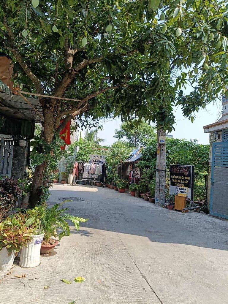 Bán đất thổ cư huyện hóc môn