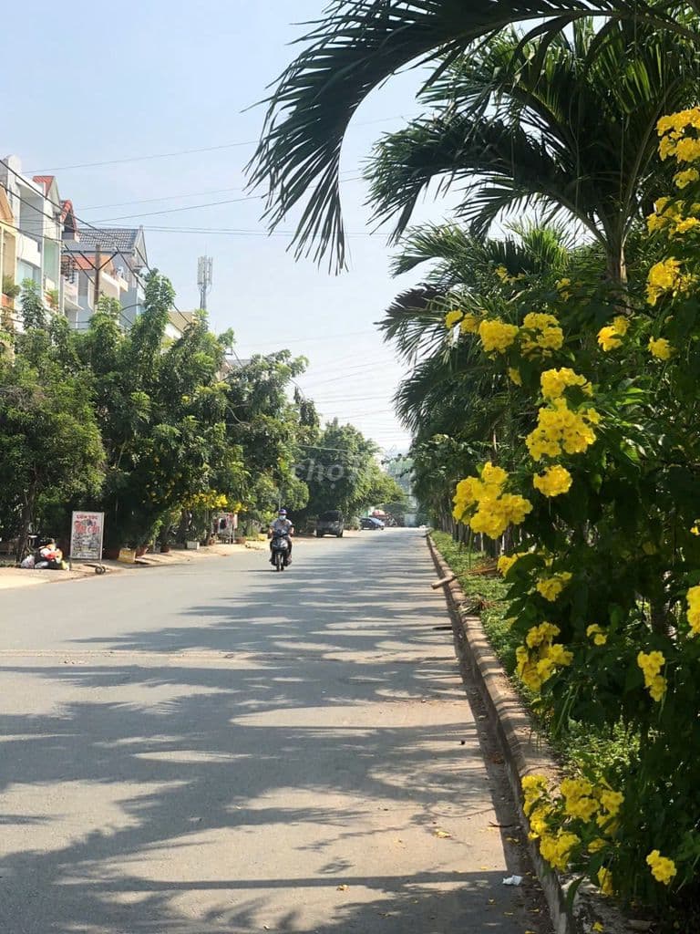 Đất biệt thự 6x25m, mặt tiền Trần Thị Ngôi, P.4, Q.8 - Ảnh 2