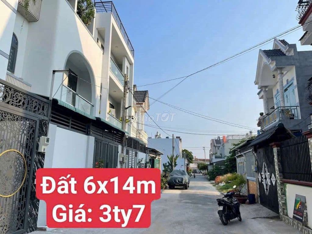 Đất 6x14m Shr MT Nhựa 8m 1/50m Nguyễn Thị Ngay Công Viên Sinh Thái XTS