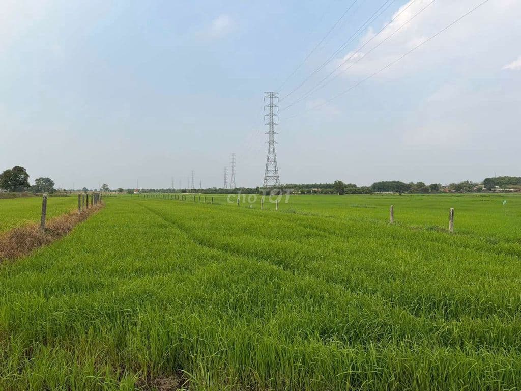 bán đất tại Phước Thạnh - Ảnh 3