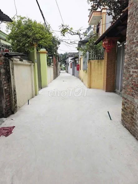 bán đất Cự Thần-Đỗ Động cũ 57.4m2 mặt tiền 3.9m - Ảnh 3