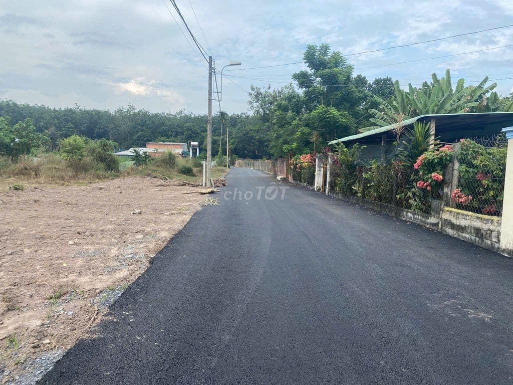 Bán đất xã Nhuận Đức, Củ Chi, DT 100m*26m, đường nhựa 7m, QH đất ONT - Ảnh 3