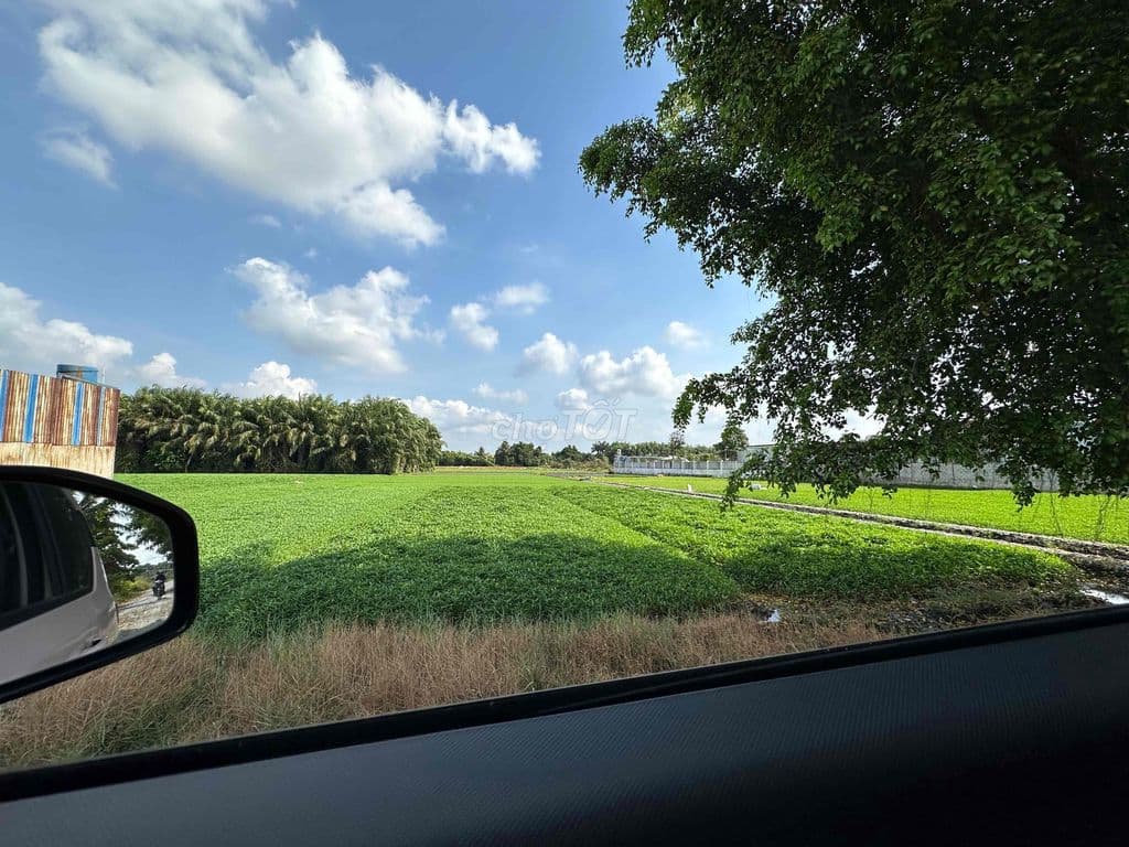 GIA ĐÌNH CẦN BÁN 6400m2 đất Cây lâu năm - 29 tỷ - Ảnh 2