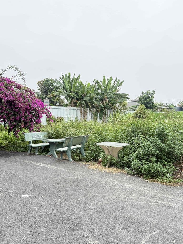 🌟 BÁN ĐẤT THỔ CƯ – ĐƯỜNG NHỰA 6M – XÂY DỰNG TỰ DO 🌟 📍 Vị trí: 2/ Trun - Ảnh 2