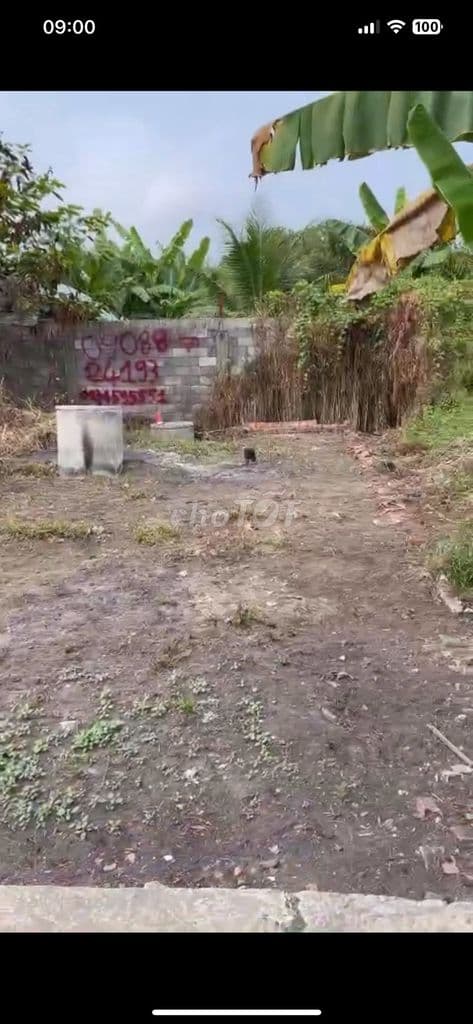 CẦN BÁN GẤP LÔ ĐẤT ĐẸP - Ảnh 3