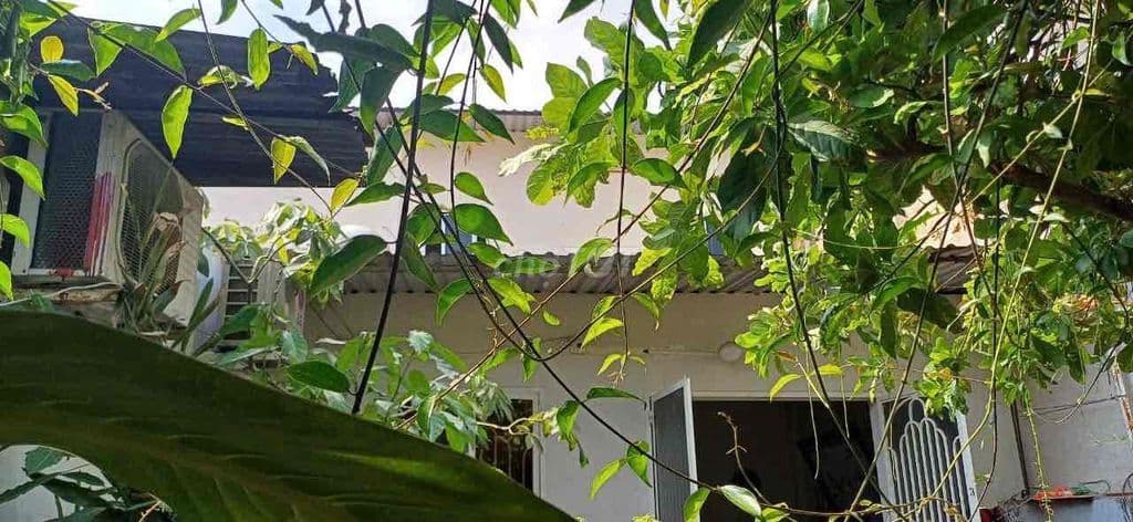 HẺM XE TẢI NÉ NHAU - XE HƠI VÀO NHÀ - CHỈ 11tỷ - Ảnh 3