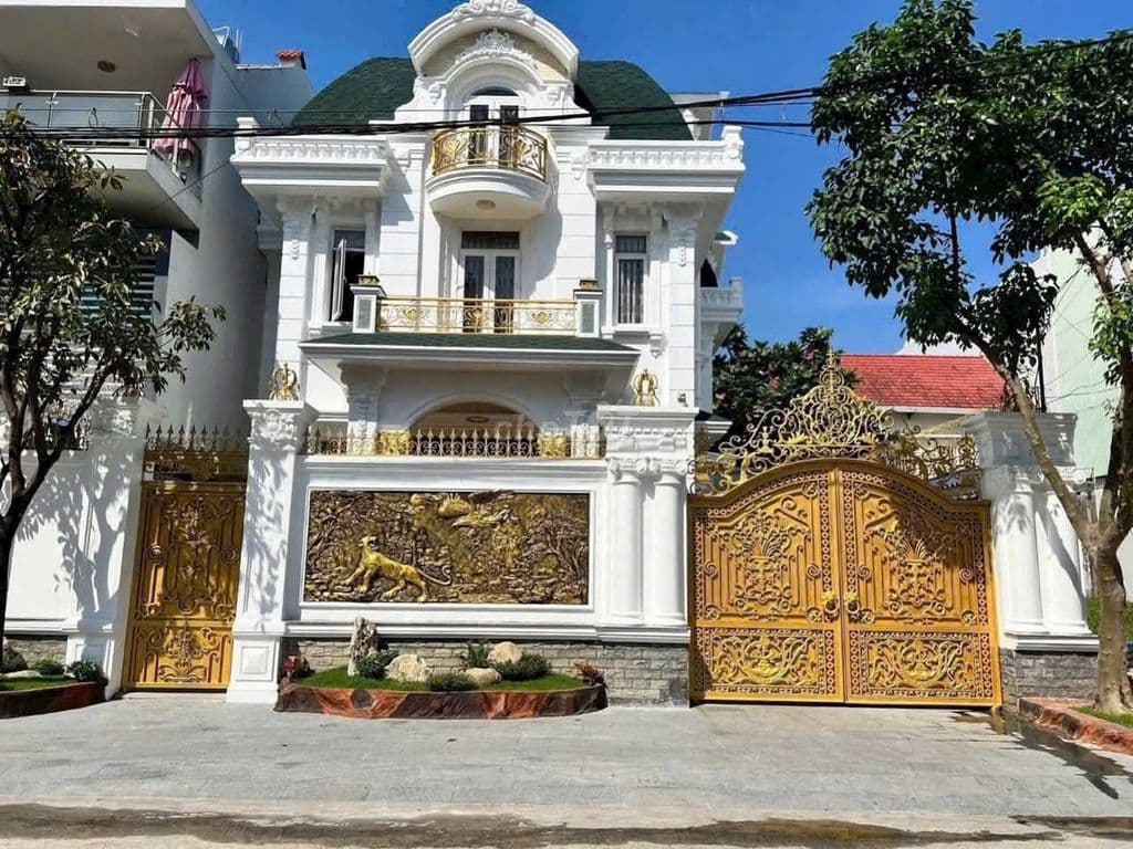 BÁN BIỆT THỰ KHU DÂN CƯ VĨNH LỘC: 12,5Mx20M - Ảnh 3