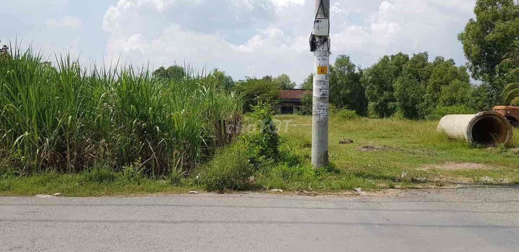 Bán gấp lô đất 100m2/1Tỷ150 gần chợ Vĩnh Lộc, Bình Chánh dân cư đông - Ảnh 3