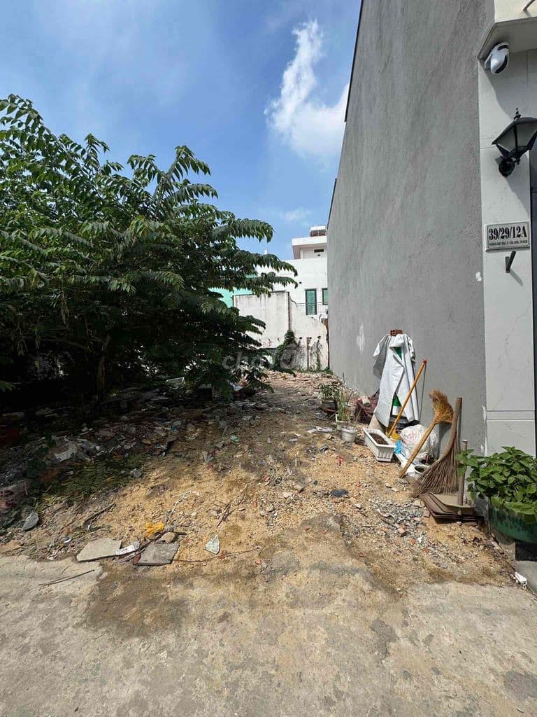 Ngợp bank bán gấp đất hxh Hoàng Bật Đạt 64m2 - Ảnh 3