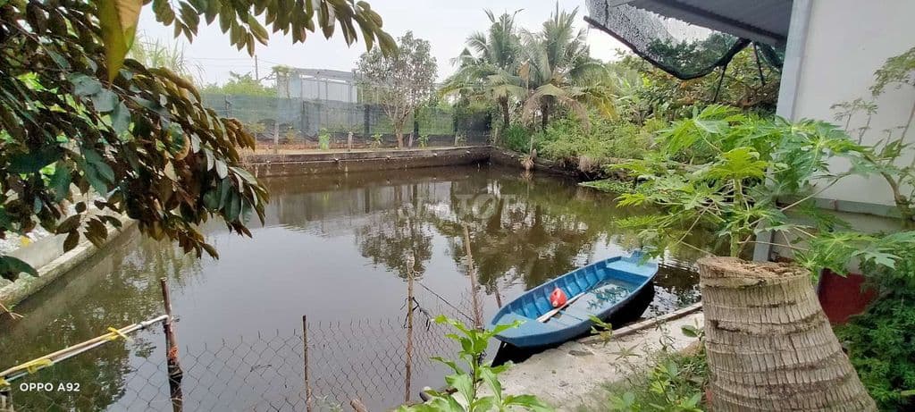 Nhà vườn Hưng Long BC,T phcm, có sẵn nhà, vườn cây ăn trái, nghĩ dưỡng