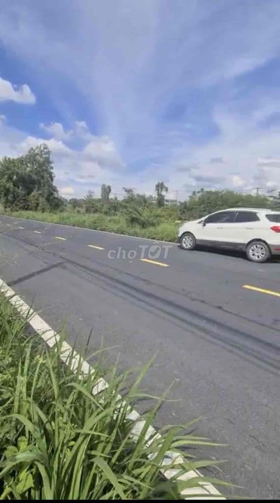 cần bán gấp 1.200m2 đất ở Xã Phạm Văn Hai, Bình Chánh - Ảnh 3