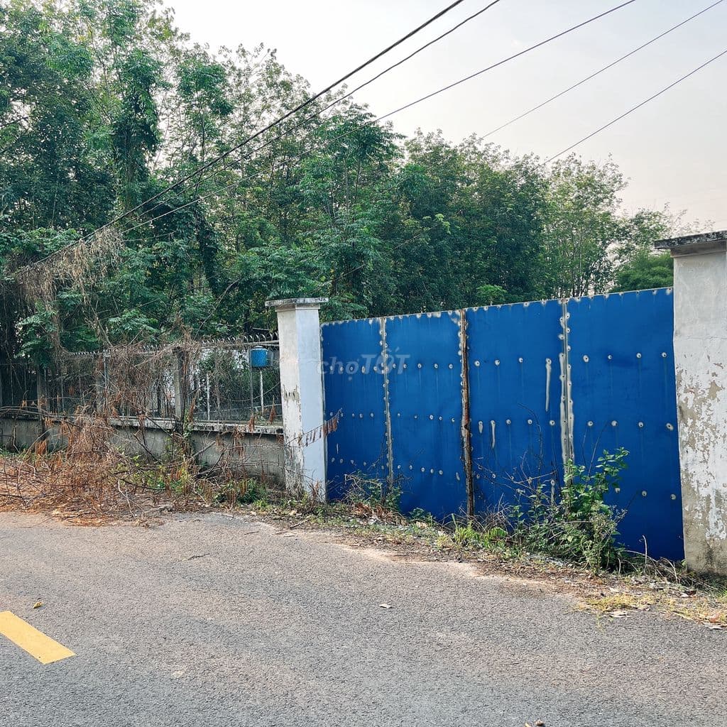 Bán gấp lô đất (gần Nguyễn Thị Nê), dt 2550m2, 500m2 đất ở, 12.5 tỷ TL