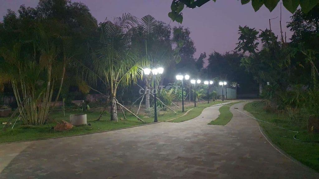 ĐẤT NGHĨ DƯỠNG ĐƯỜNG 5 LONG PHƯỚC , GẦN VINHOMES, ĐỐI DIỆN AQUASYTI - Ảnh 2