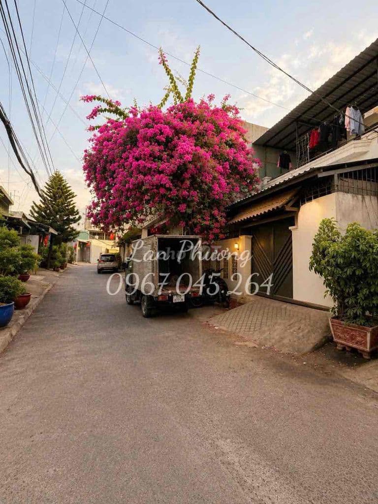 NHÀ MẶT TIỀN KINH DOANH - ĐƯỜNG NHỰA 8M - THÔNG SỐ ĐẸP - NHỈNH 9 T