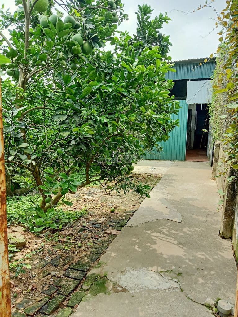 Bán đất 82m2 tại Đức Diễn, Phú Diễn, Hà Nội giá rẻ chỉ 42,5 triệu/m2 - Ảnh 3