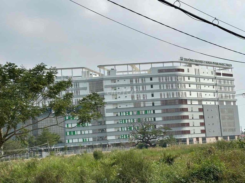 bán 375m đất vườn hẻm xe hơi gần bệnh viện nhi đồn - Ảnh 2