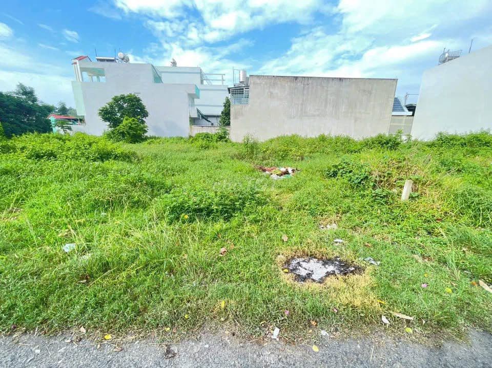 Bán gấp đất ngột Tân An Hội Củ Chi 5.2x20 full thổ cư, 550 triệu,SHR