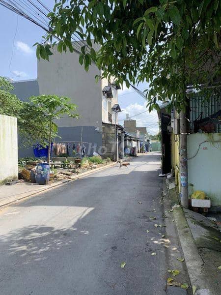 Đất Thổ cư 12,5x26 Đ.Vườn Lài, An Phú Đông Q12 tách được 3 lô - Ảnh 2