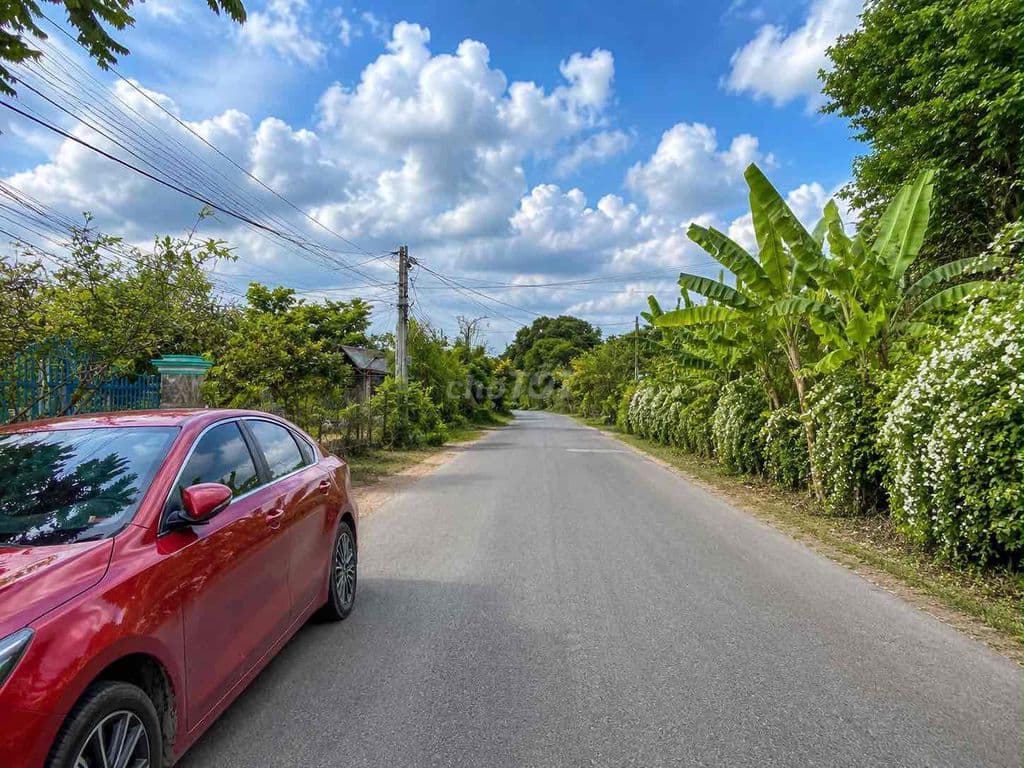 LÔ ĐẤT NGAY TÂN PHÚ TRUNG MT ĐƯỜNG BÀU GIÃ ,SỔ HỒNG RIÊNG - Ảnh 2