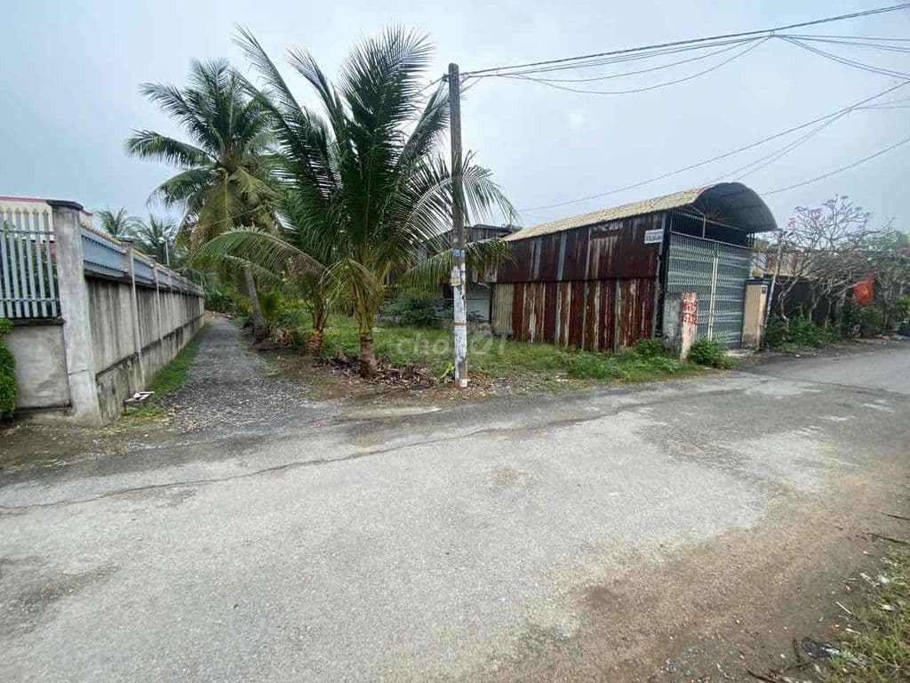 Bán đất tặng nhà như hình - mặt tiền nhựa Nhị Bình 18: - Ảnh 3