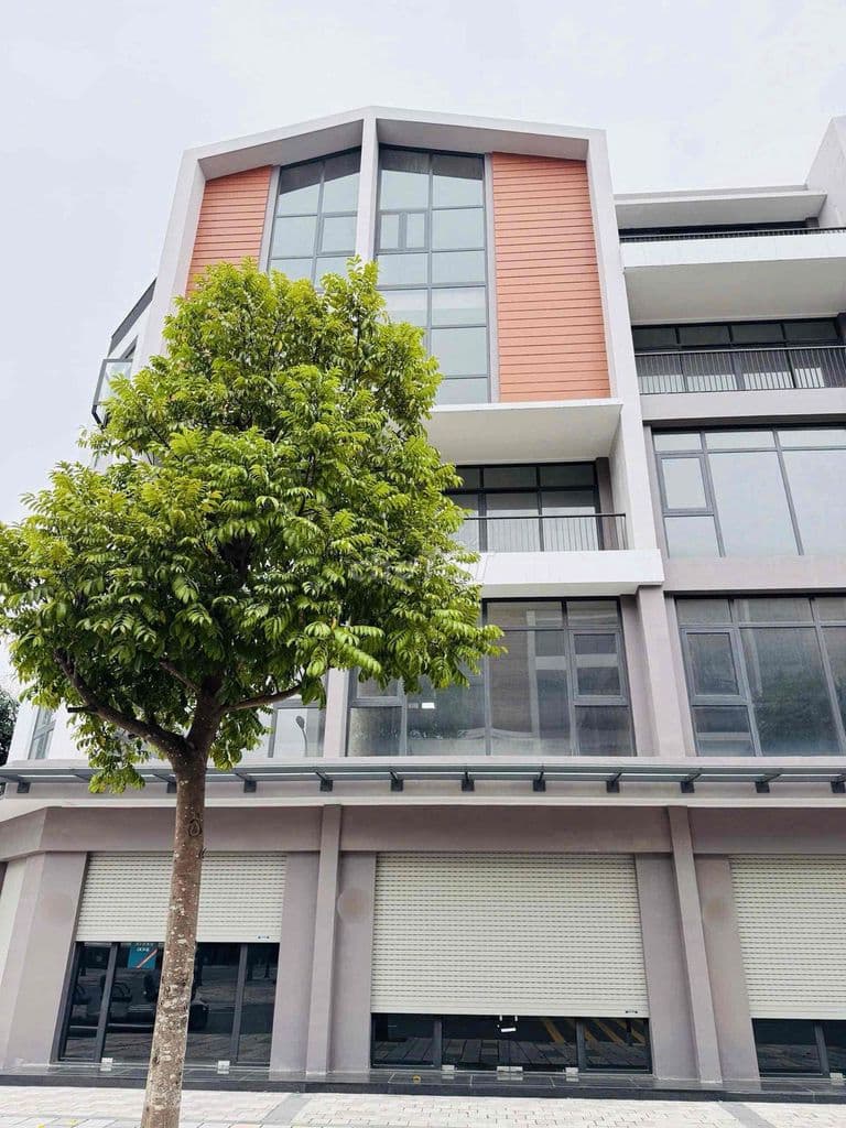 ✅SHOPHOUSE PHỐ BIỂN-OCEAN PARK 3🏖️KINH DOANH TỐT VIEW GRAND WORLD