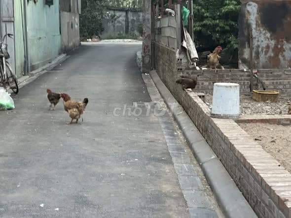 bán đất 57m2 tại Đông Anh nhỉnh 4 tỷ - Ảnh 3