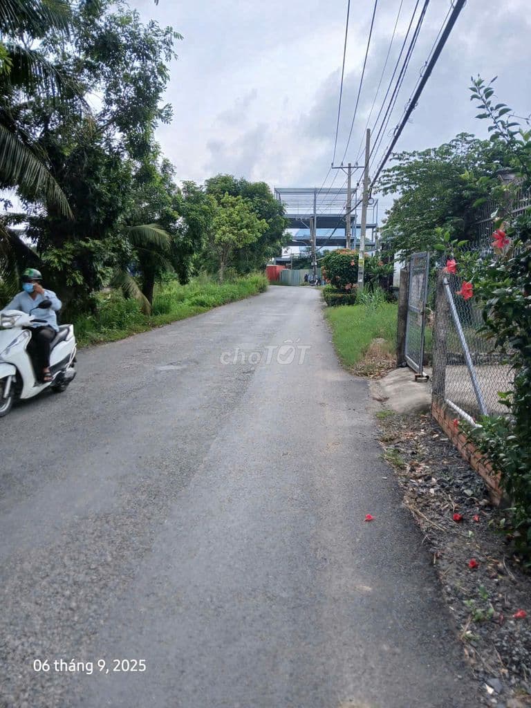 Bán đất mặt tiền đường kinh doanh (5×36m) 178m2. Có 133m thổ cư - Ảnh 2