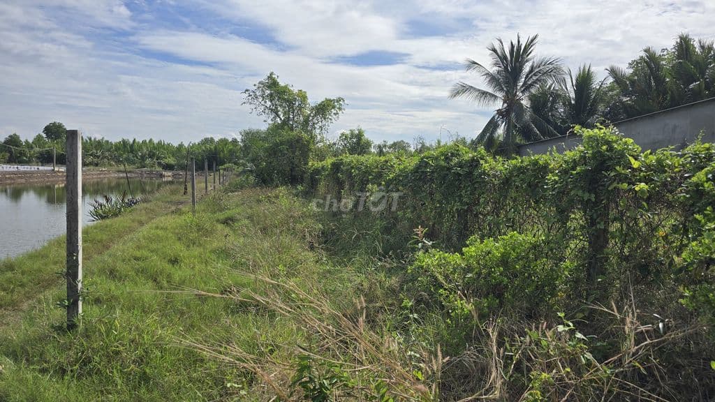 Bán Đất Sinh Thái hơn 1.600m² MT. Nhựa có 510m² Thổ Cư gần cầu Cần Giờ - Ảnh 3