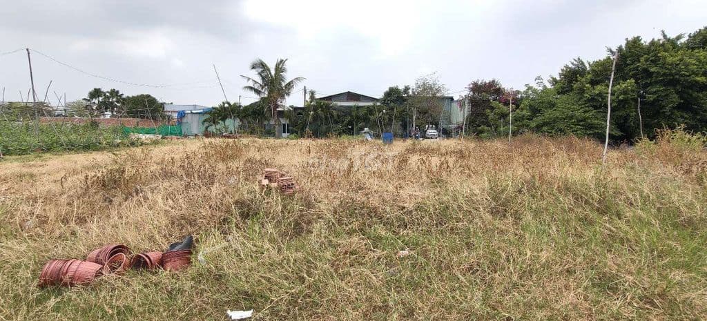 Đất trồng cây đ.Xuân Thới Sơn 26C-Hóc Môn.Dt 33x35~1161m2~14,5ty - Ảnh 2