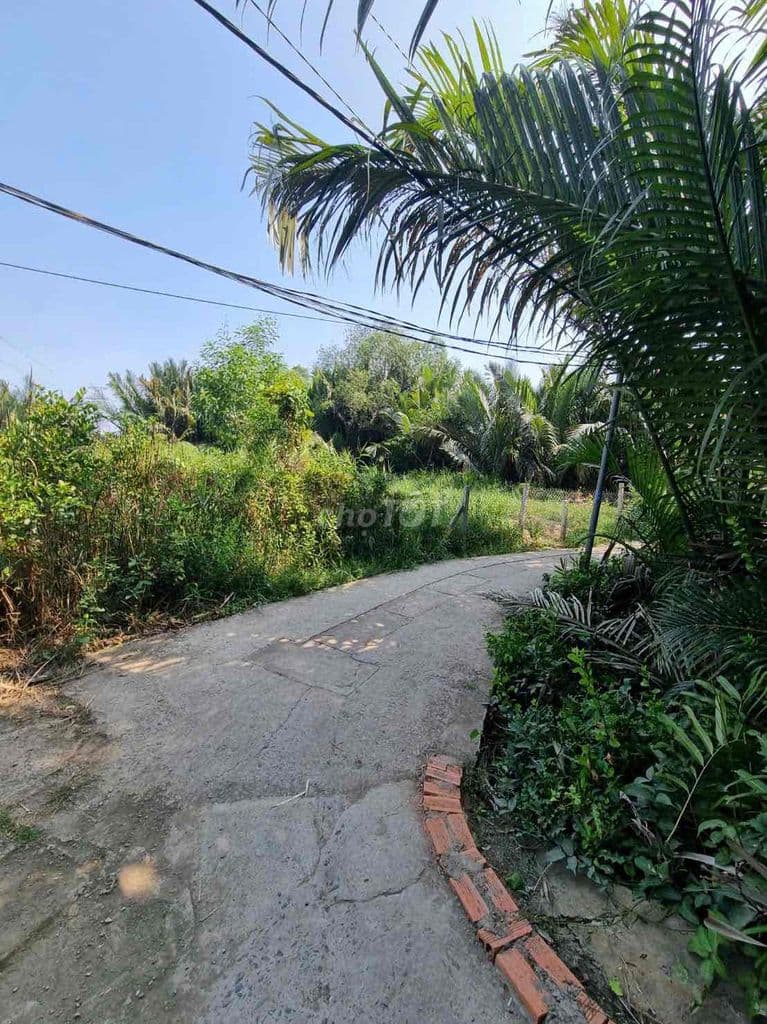 Đất vườn, quy hoạch khu dân cư hiện hữu. nhơn Đức Nhà Bè - Ảnh 3